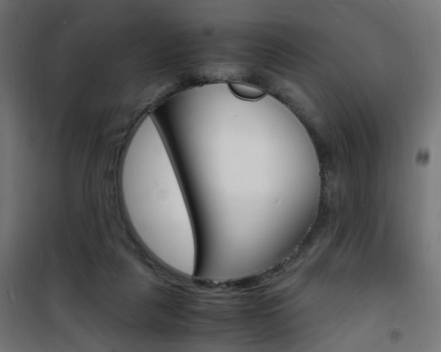 X0000101480259200807071250