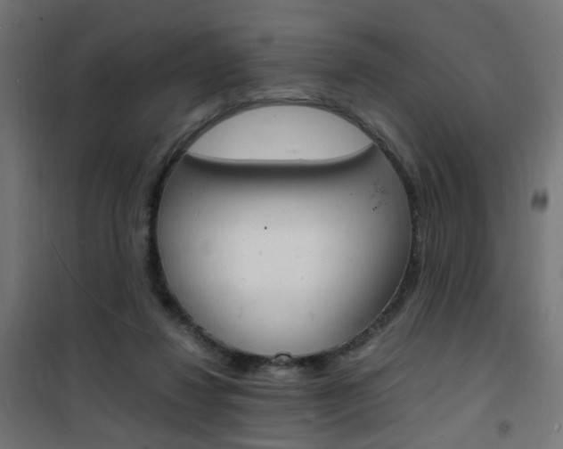 X0000101480260200807071250