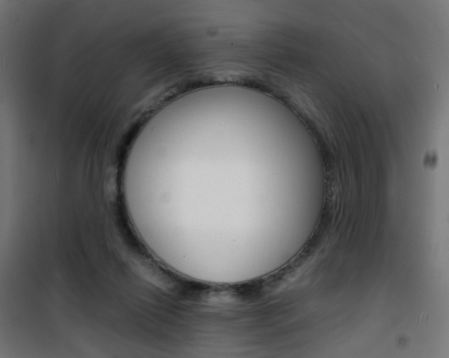 X0000101480262200807071250