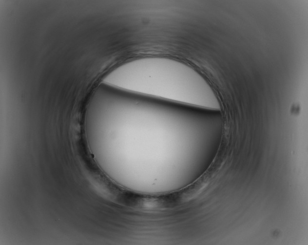 X0000101480264200807071250