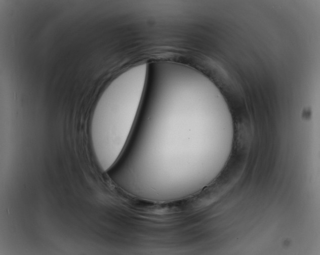 X0000101480267200807071250