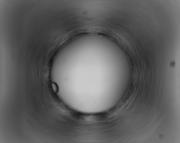 X0000101480268200807071250