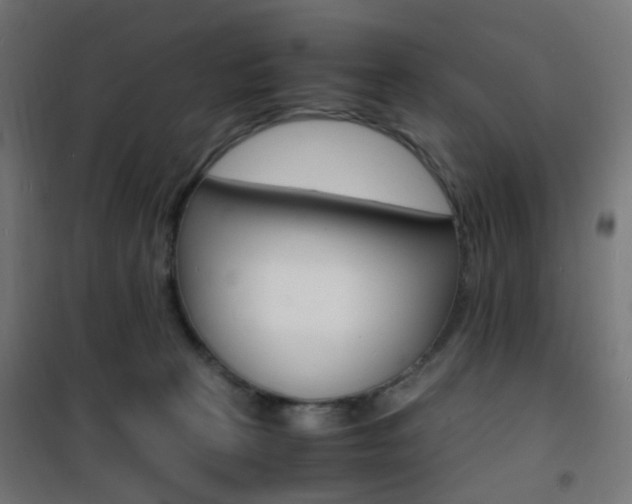 X0000101480273200807071250
