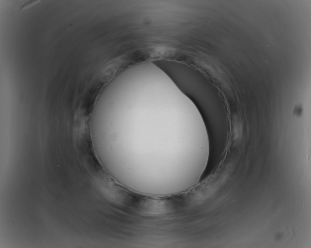 X0000101480276200807071250