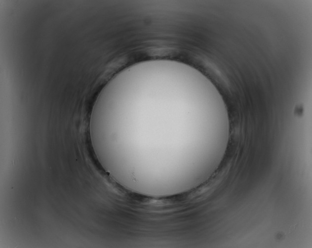 X0000101480277200807071250