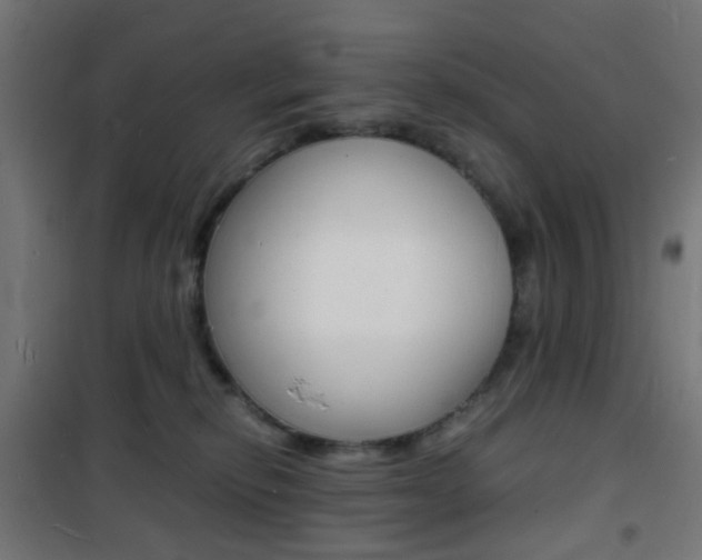 X0000101480278200807071250