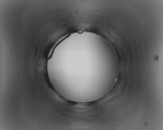 X0000101480280200807071250