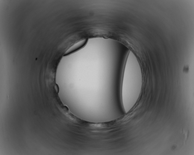 X0000101480281200807071250