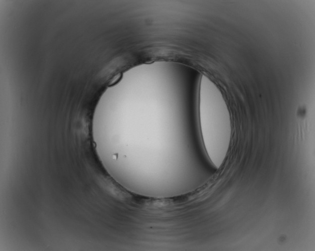 X0000101480282200807071250