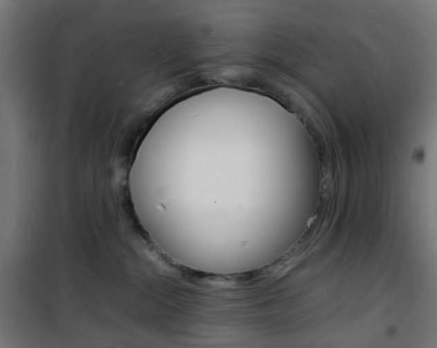 X0000101480284200807071250