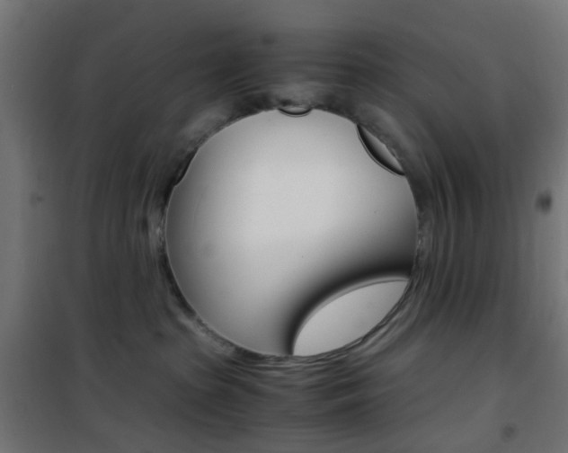 X0000101480285200807071250