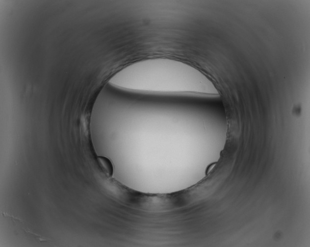 X0000101480286200807071250