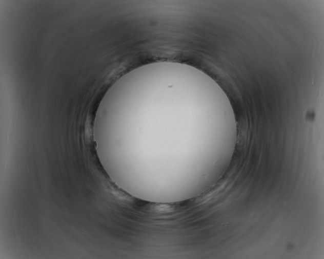 X0000101480287200807071250