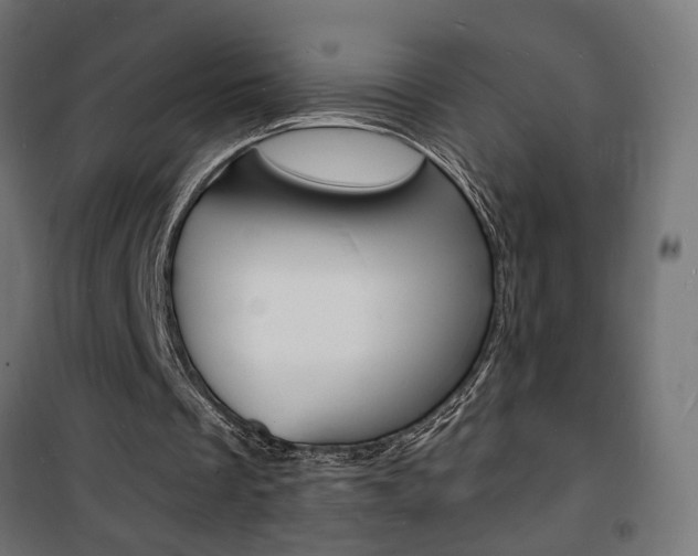 X0000101480289200807071250