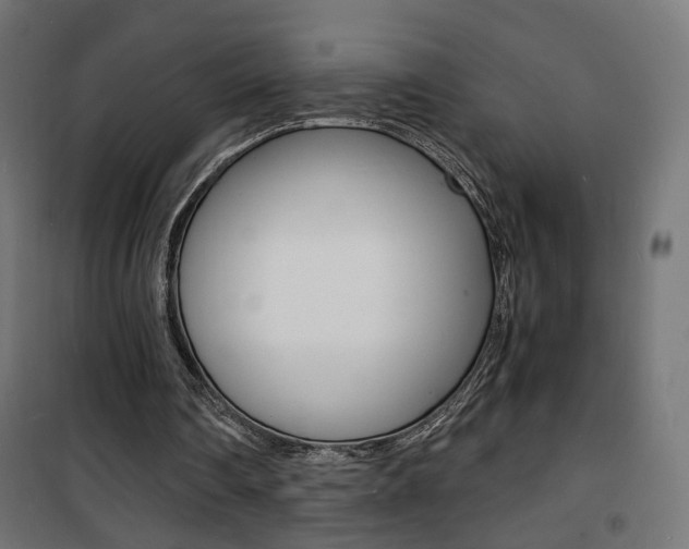 X0000101480290200807071250