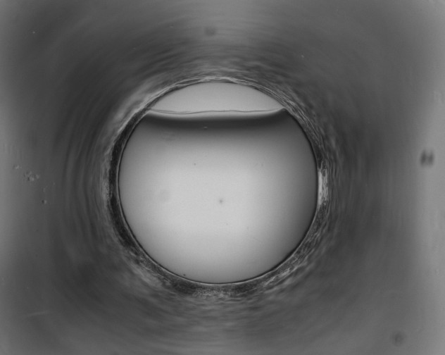 X0000101480291200807071250