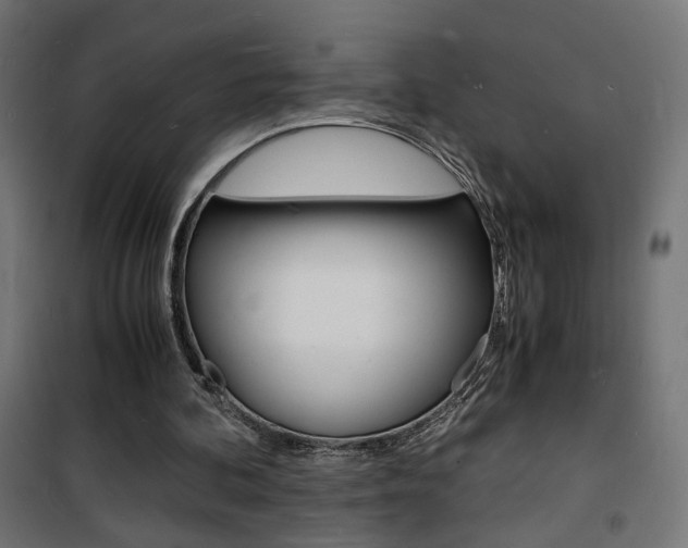 X0000101480292200807071249