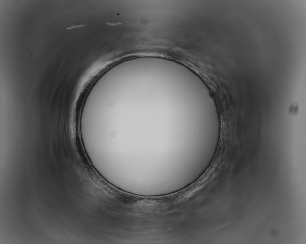 X0000101480294200807071249