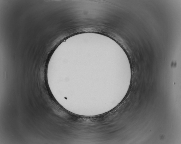 X0000101480297200807071249