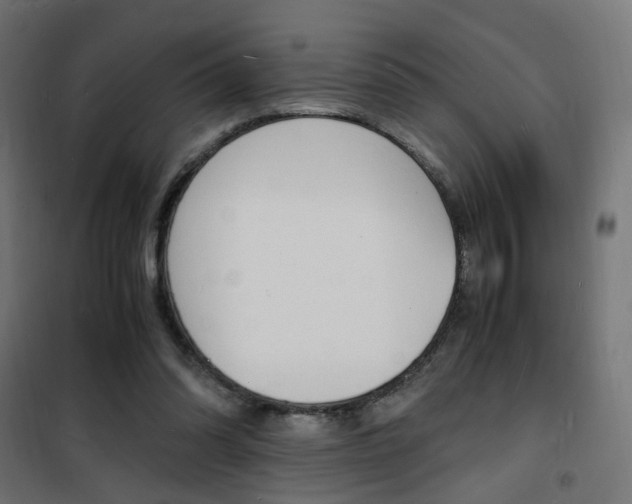 X0000101480302200807071249
