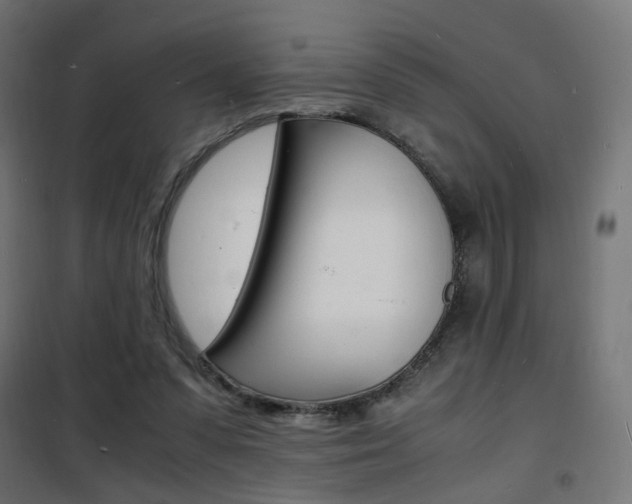 X0000101480303200807071249