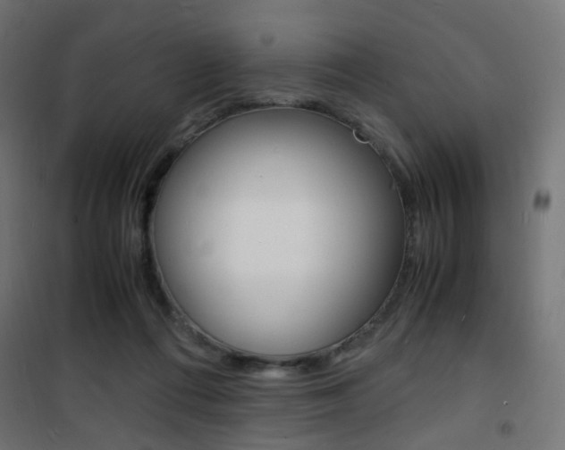 X0000101480312200807071249