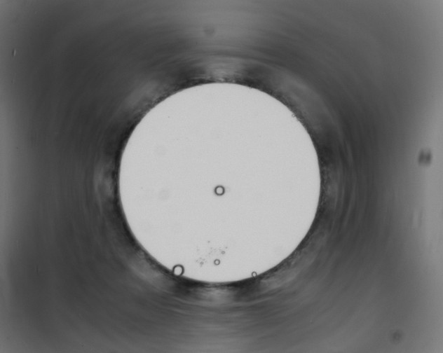 X0000101480313200807071249