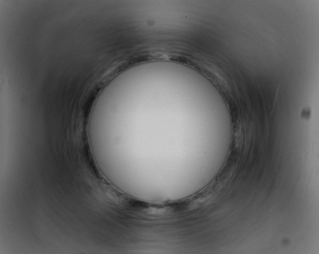 X0000101480314200807071249