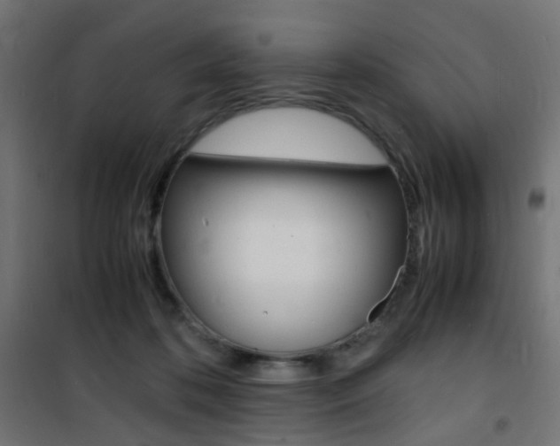 X0000101480316200807071249