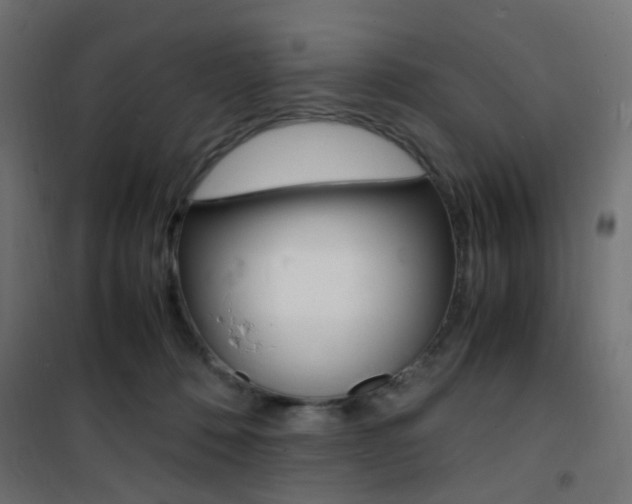 X0000101480320200807071249