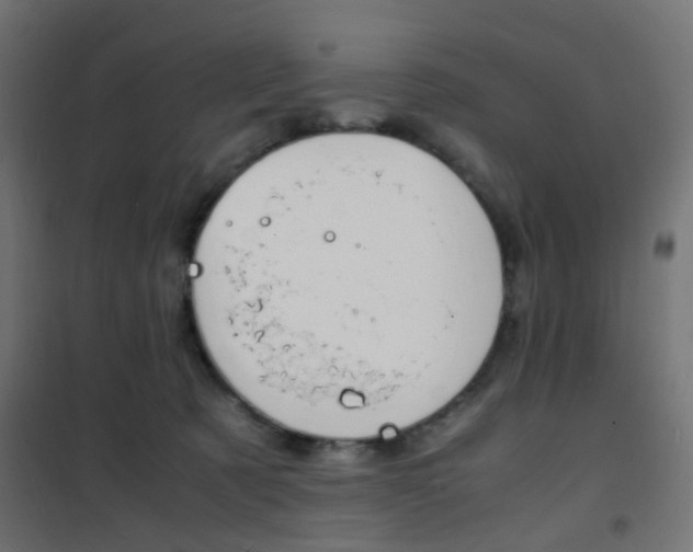 X0000101480321200807071249