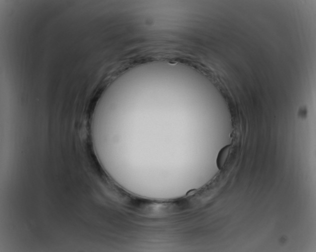 X0000101480323200807071249