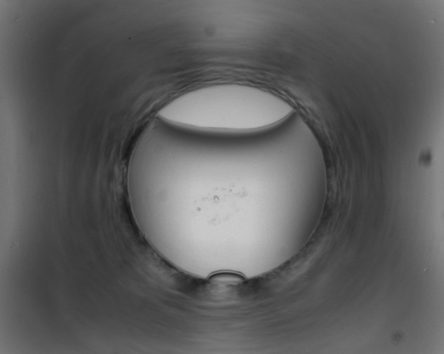 X0000101480325200807071249