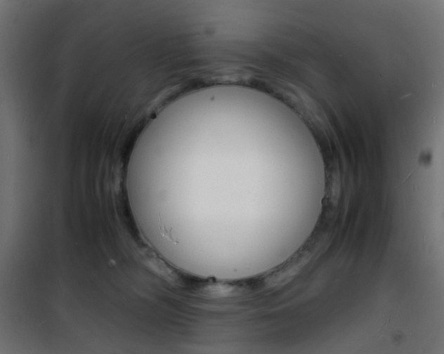 X0000101480326200807071249