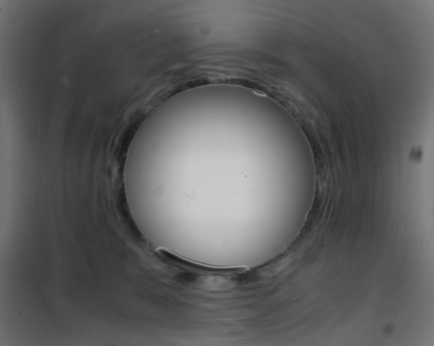 X0000101480327200807071249