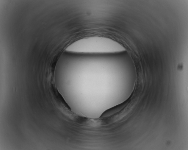 X0000101480328200807071249