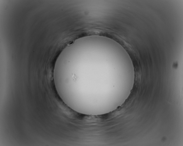 X0000101480331200807071249