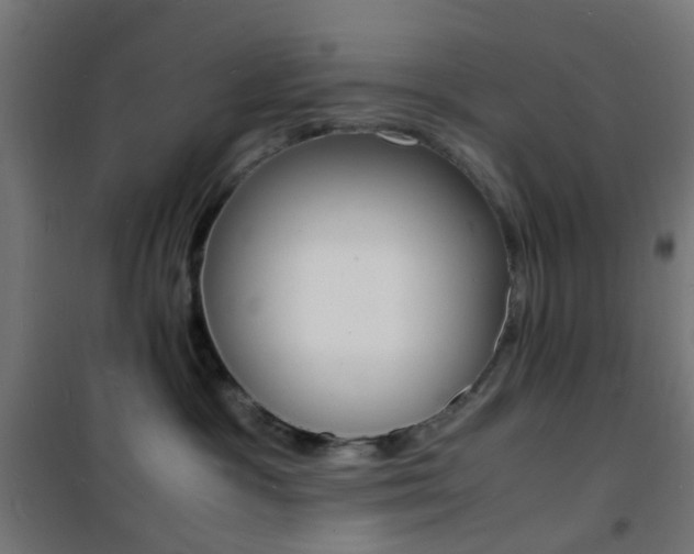 X0000101480333200807071249