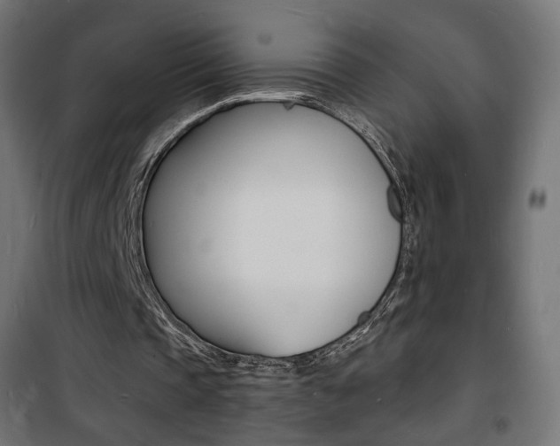 X0000101480337200807071248