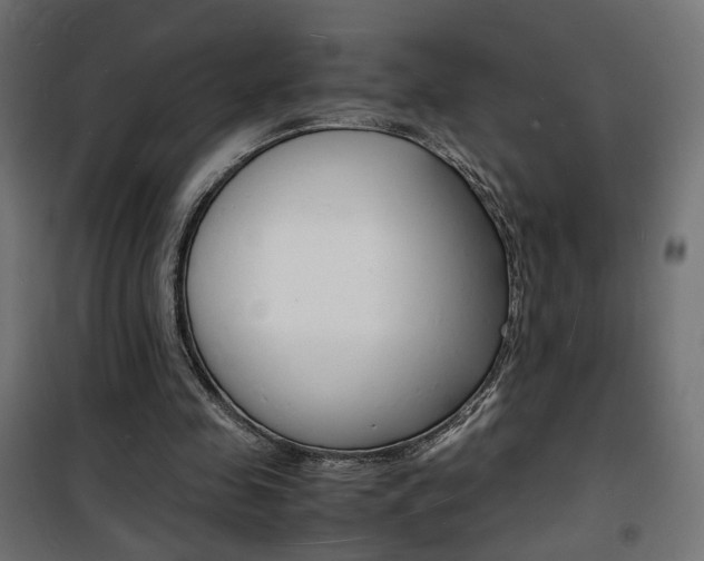 X0000101480341200807071248