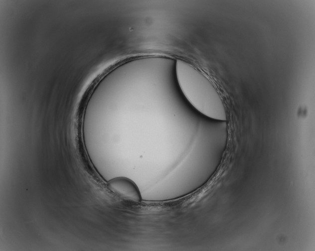 X0000101480342200807071248