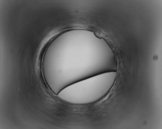 X0000101480343200807071248