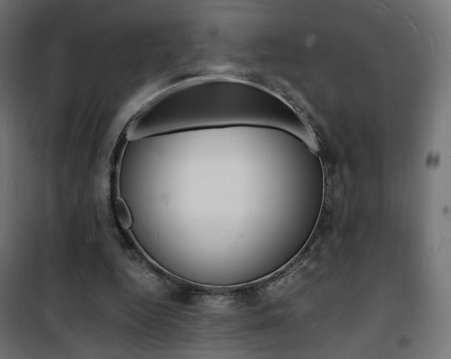 X0000101480344200807071248