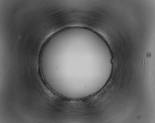 X0000101480345200807071248