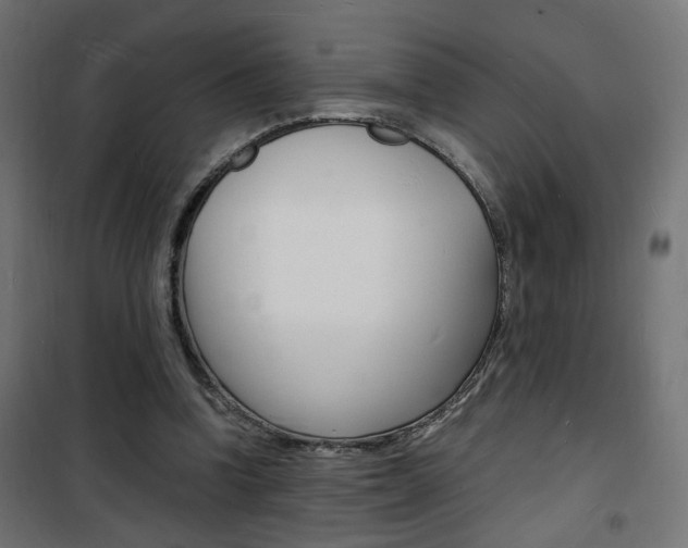 X0000101480346200807071248