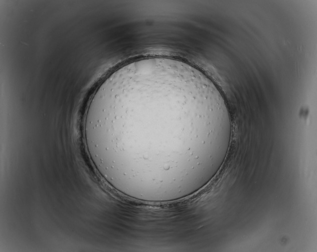 X0000101480347200807071248