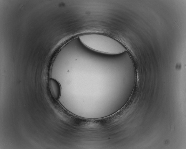 X0000101480348200807071248