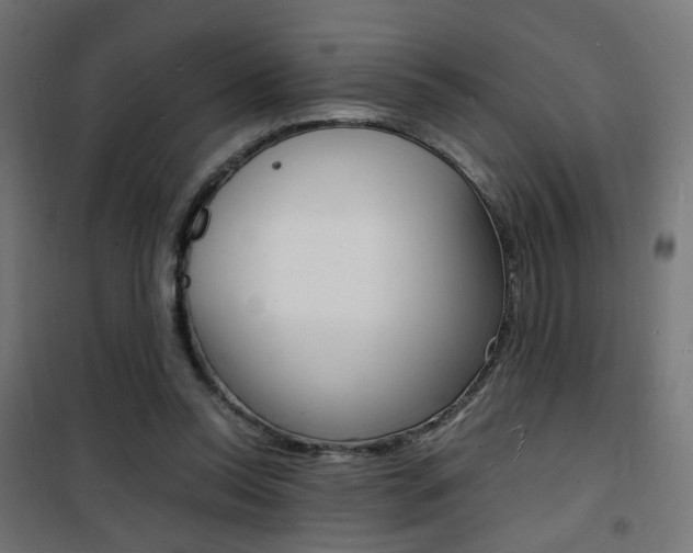 X0000101480350200807071248