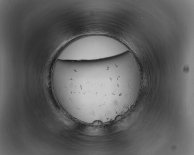 X0000101480351200807071248