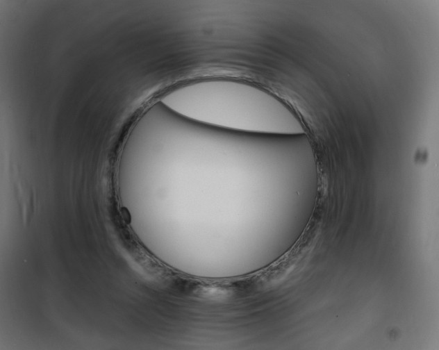 X0000101480352200807071248